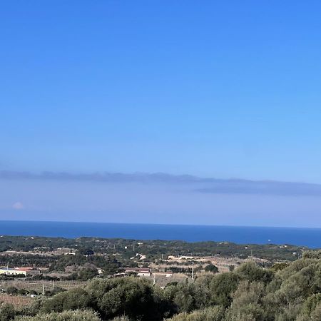 באדזי Calypso Home Sea View מראה חיצוני תמונה
