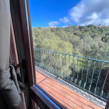 באדזי Calypso Home Sea View מראה חיצוני תמונה